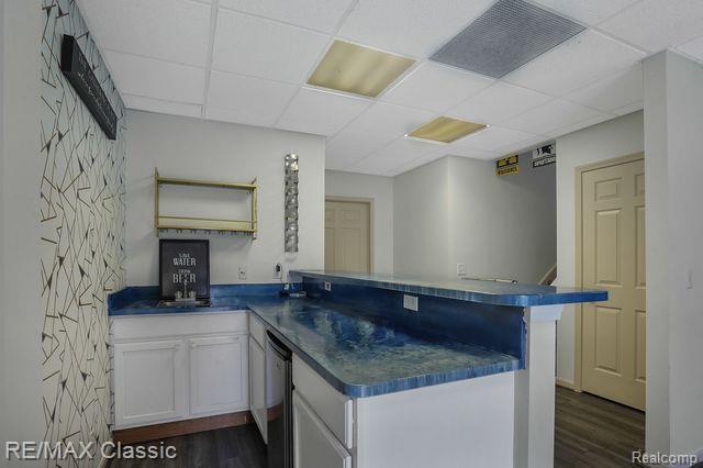 42447 CORLINA Drive, Northville, MI 48167 — Photo 16