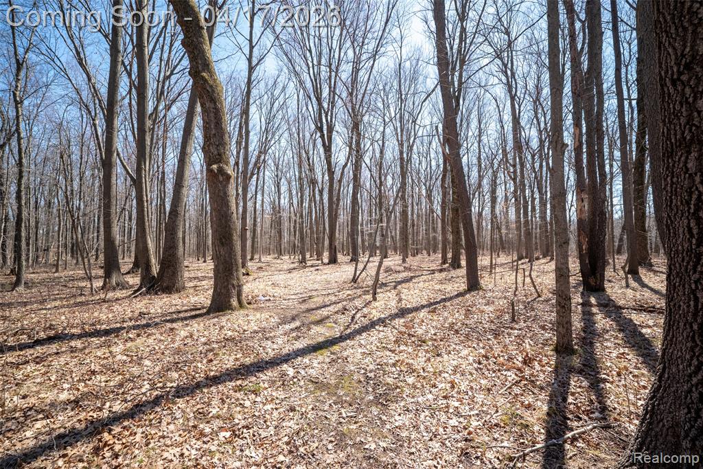 825 W Rose Center Road, Holly, MI 48442 — Photo 12