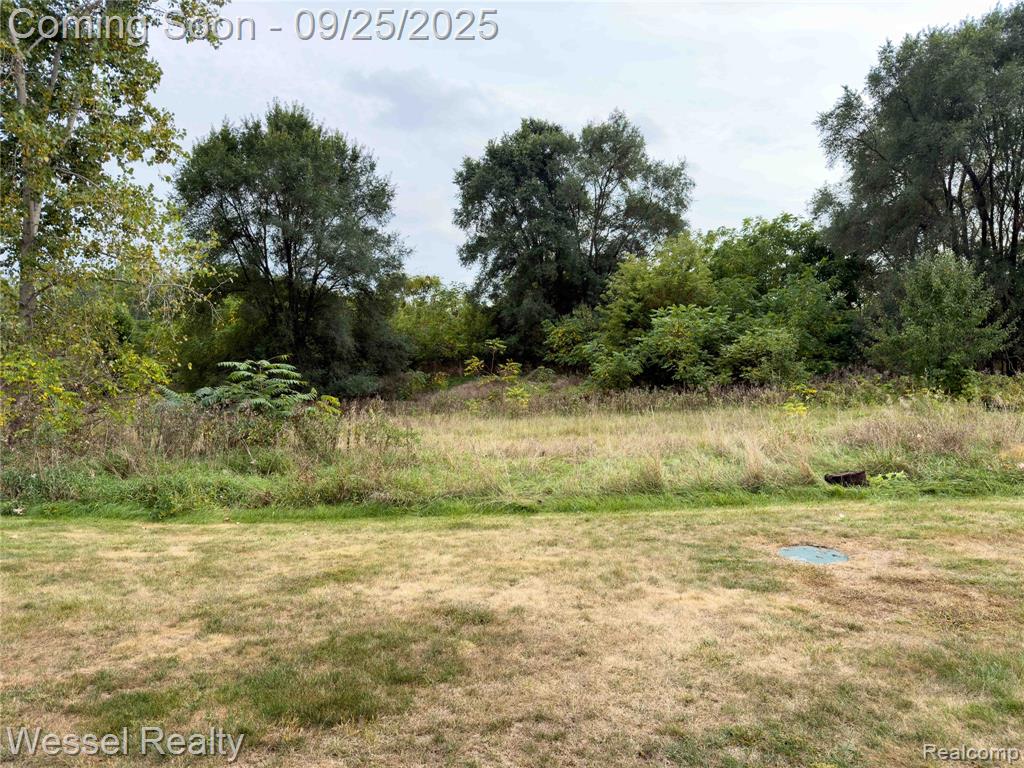 67976 Van Dyke Road, 8, Washington, MI 48095 — Photo 26