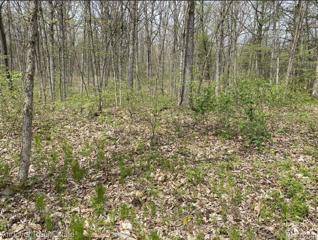Swan Creek Court, MI 49010 — Photo 4