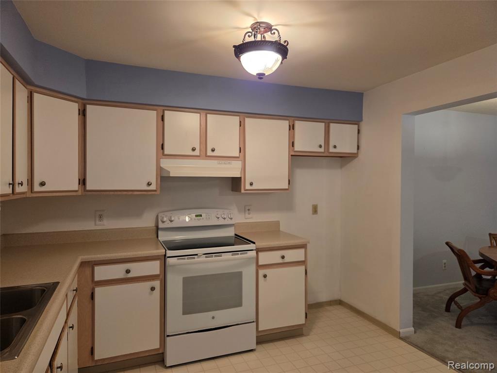 61145 Greenwood Drive, South Lyon, MI 48178 — Photo 11
