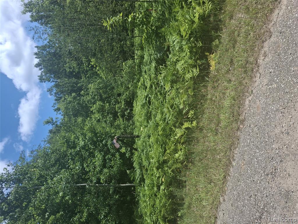 Lot 144 Willamont Circle Lot 144 Circle, Mancelona, MI 49659 — Photo 5