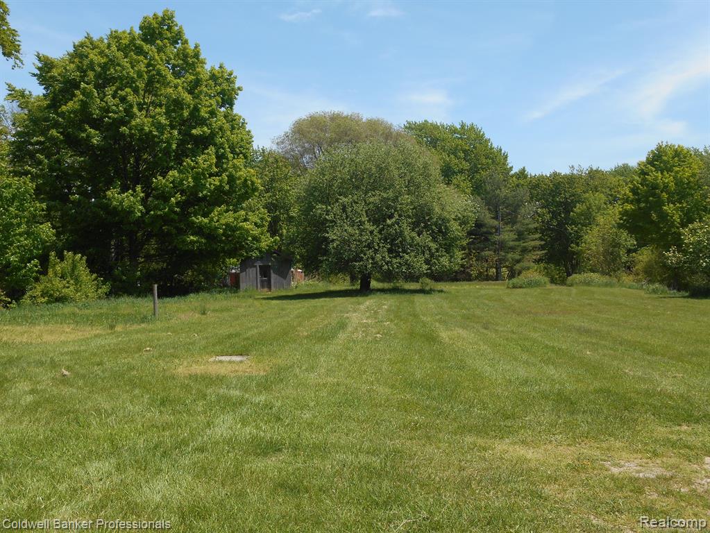 1651 CASTLE Road, North Branch, MI 48461 — Photo 4