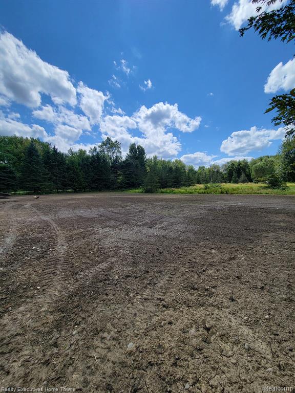 11004 BRYCE Road, Emmett, MI 48022 — Photo 9