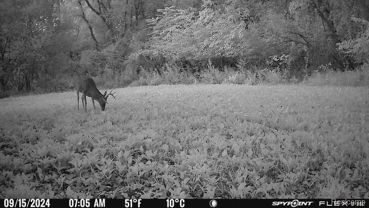 V/L BLAKE Road, Jackson, MI 49201 — Photo 97