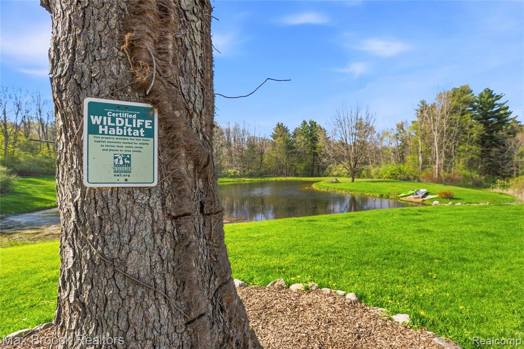 3295 Burning Tree Lane, Attica, MI 48412 — Photo 16