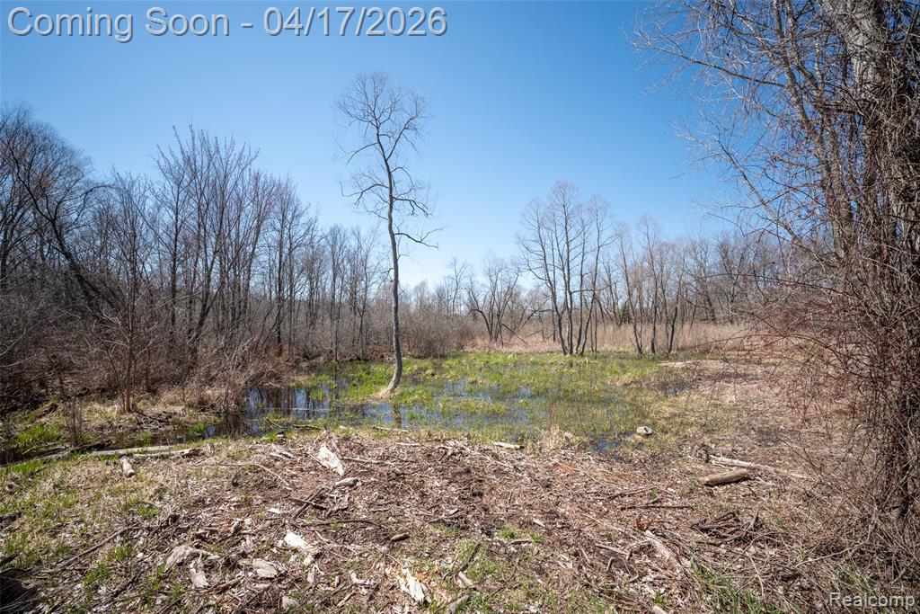 825 W Rose Center Road, Holly, MI 48442 — Photo 9