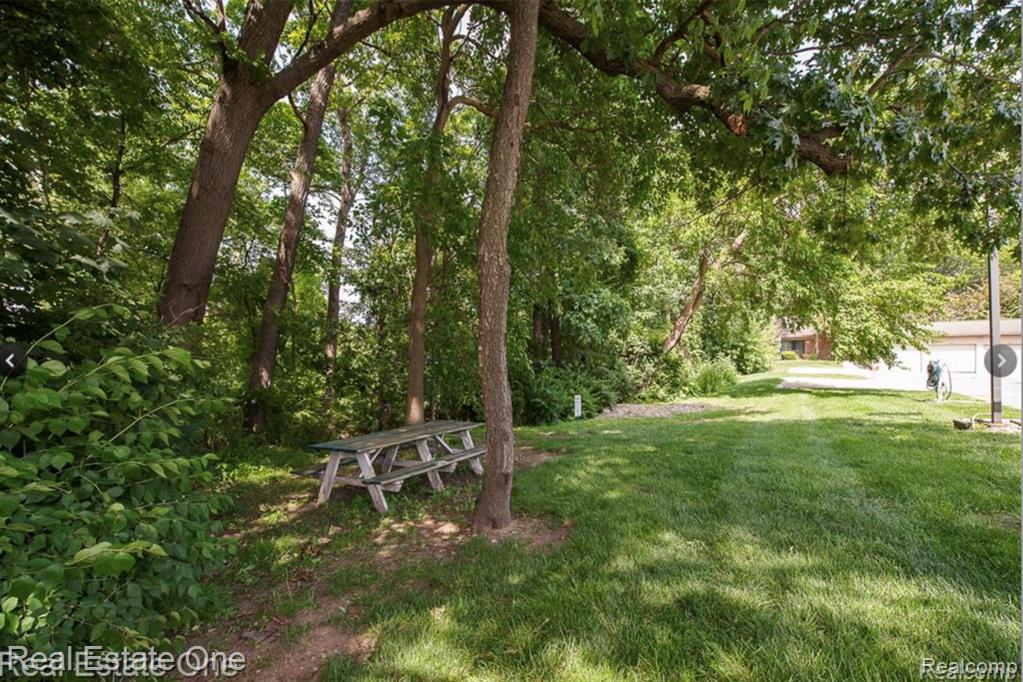410 Spring Brooke Drive, Brighton, MI 48116 — Photo 21