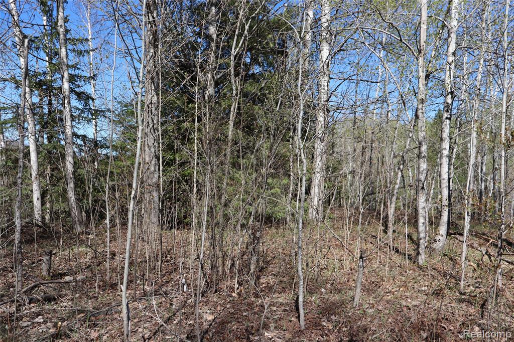 5575 E 26 Mile Road, Pickford, MI 49774 — Photo 35