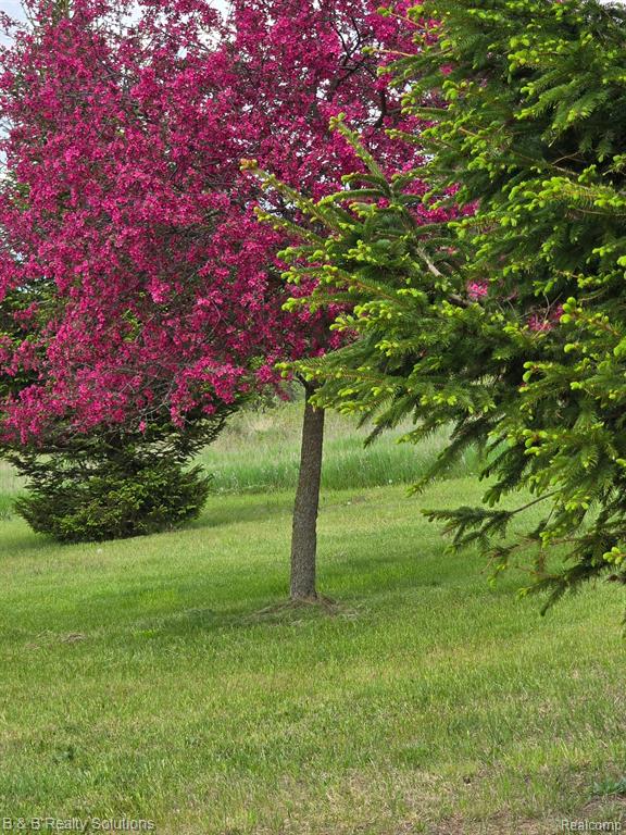 10071 N Hillman Road, Lakeview, MI, 48850