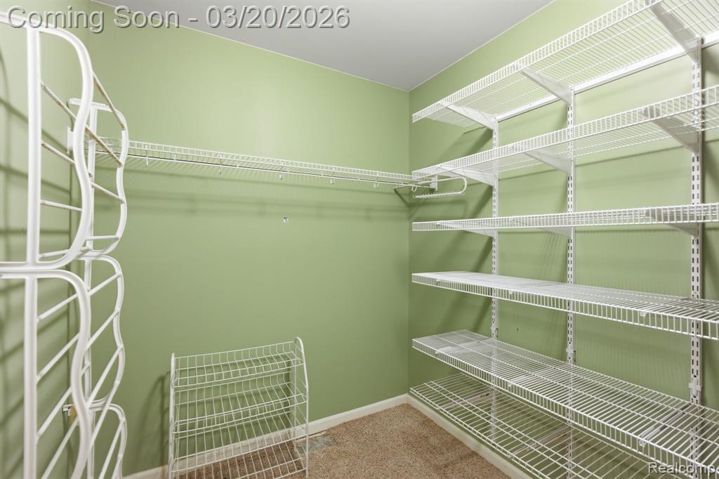 35950 Tamarack Court, New Baltimore, MI 48047 — Photo 15
