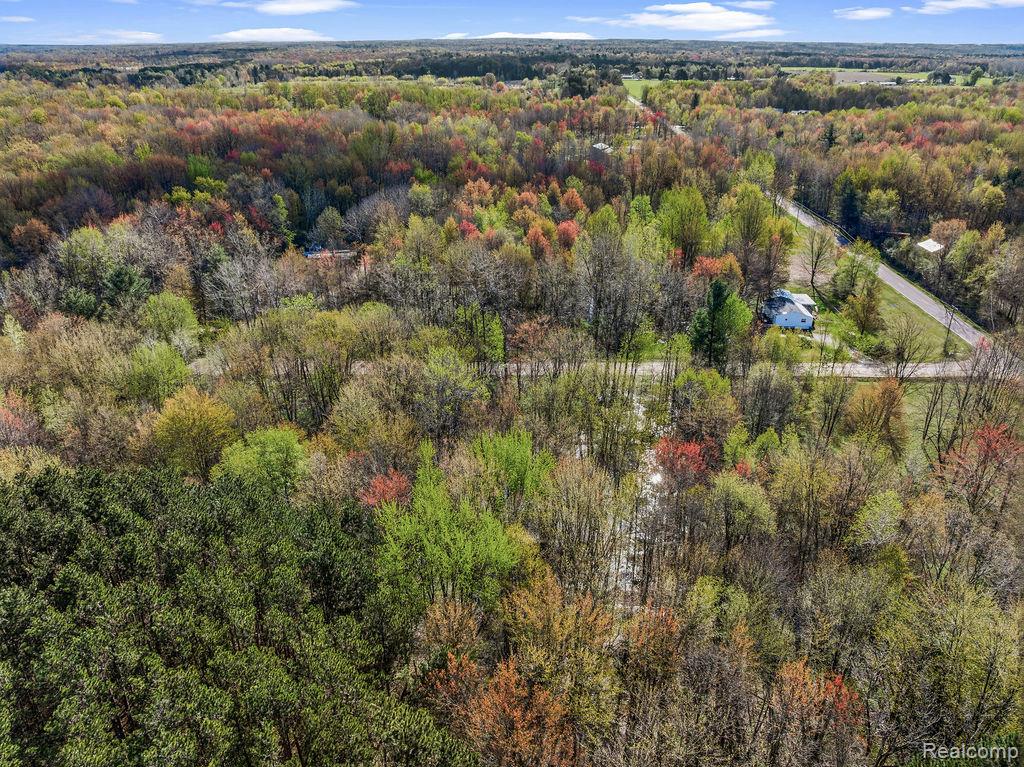 #AAA V/L Maplegrove Lane, Vassar, MI 48768 — Photo 4