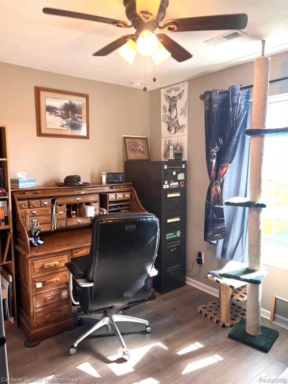 301 Saphire Street, Morrice, MI 48857 — Photo 13
