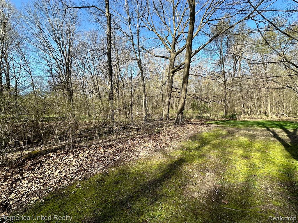 6565 W COON LAKE Road, Howell, MI 48843 — Photo 10