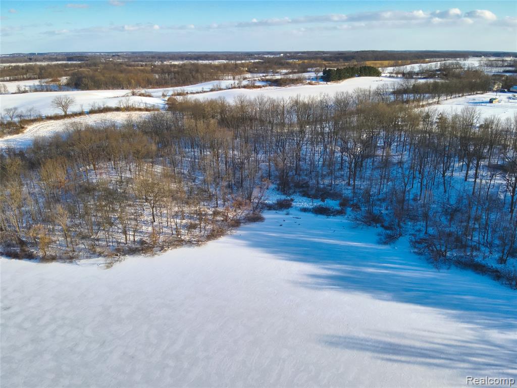 v/l W Us-12 Highway, Manchester, MI 48158 — Photo 17