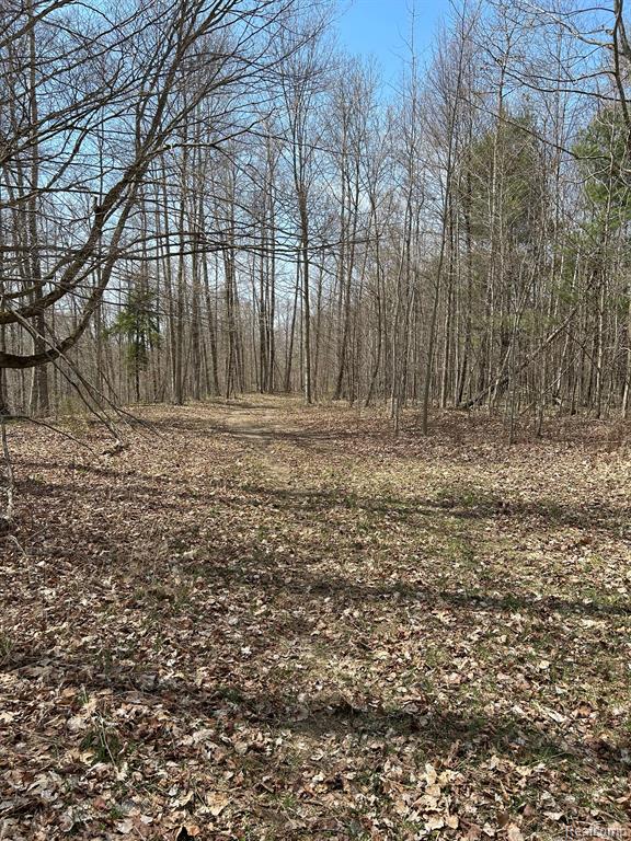 4215 JOSHUA Road, Cass City, MI 48726 — Photo 11