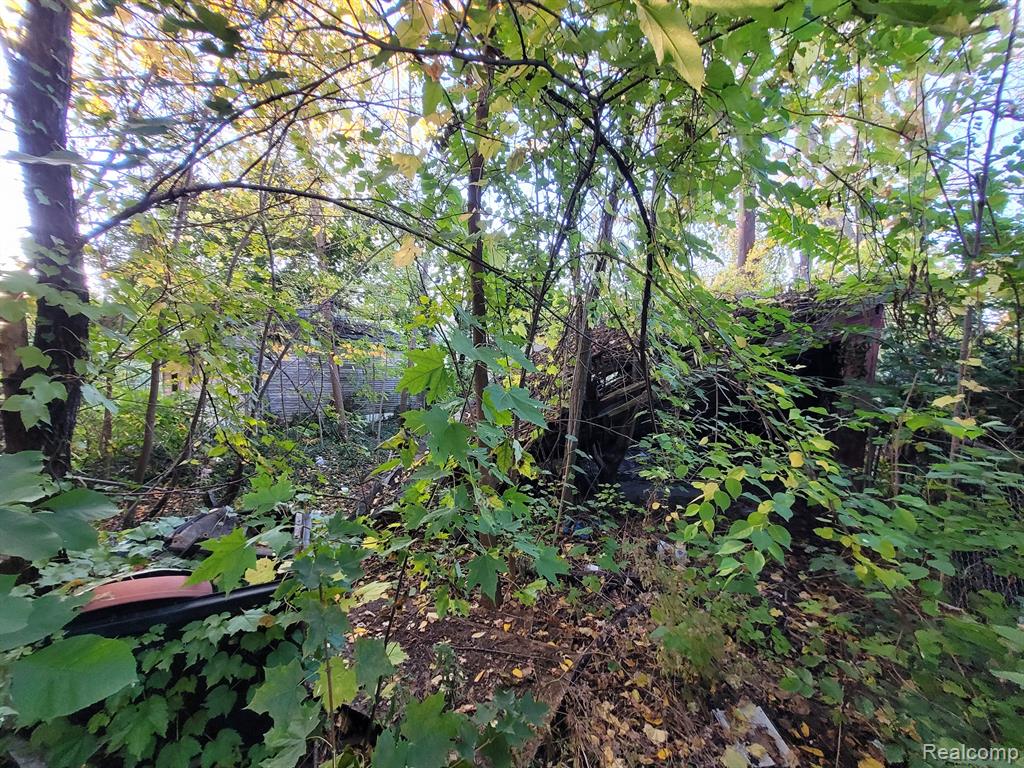4824 CORTLAND Street, Detroit, MI 48204 — Photo 4