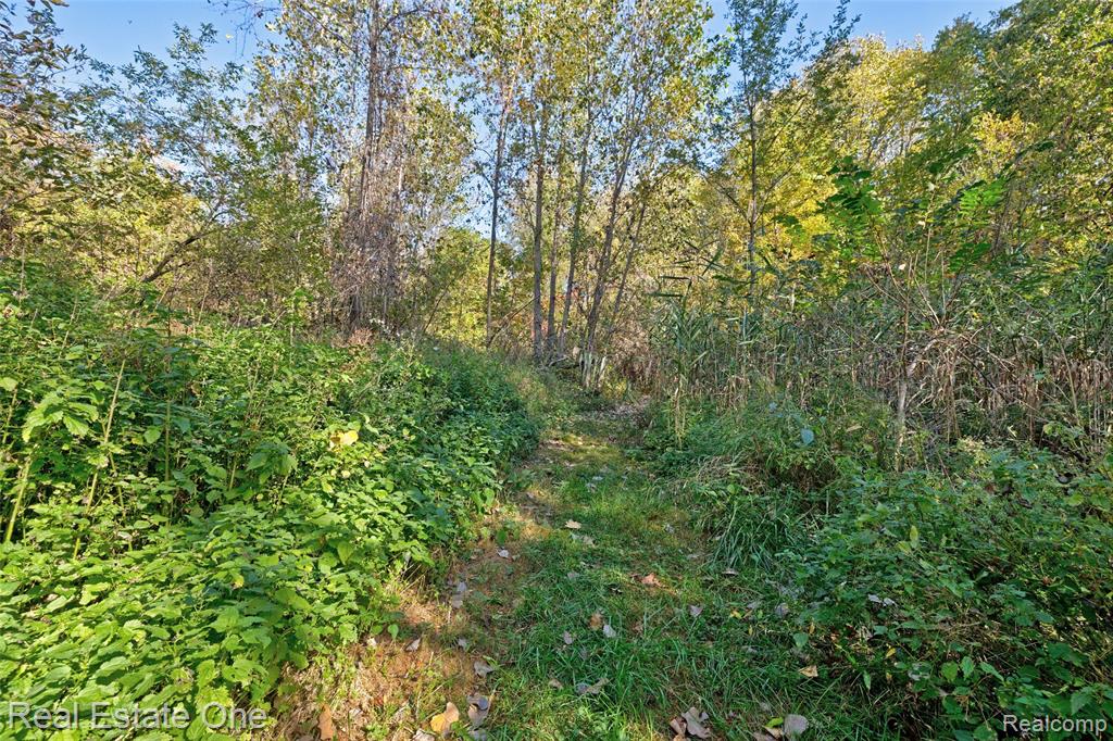 2444 Ray Road, Oxford, MI 48370 — Photo 45