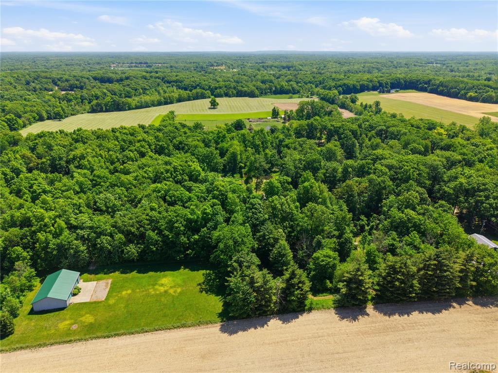 14830 County Line Road, Byron, MI 48418 — Photo 66