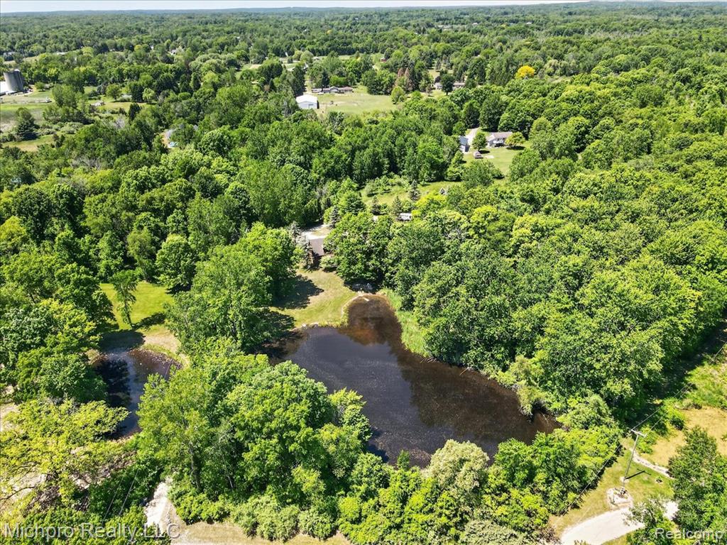 670 Green Creek Lane, Oxford, MI 48371 — Photo 80
