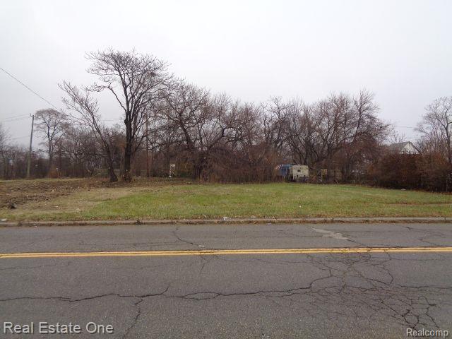 5230 LINWOOD Street, Detroit, MI 48208 — Photo 8