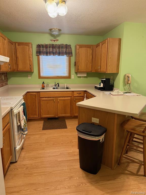 4338 Mertz Road, Mayville Vlg, MI 48744 — Photo 15