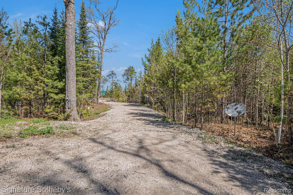 6850 BEACH Road, Rogers City, MI 49779 — Photo 45