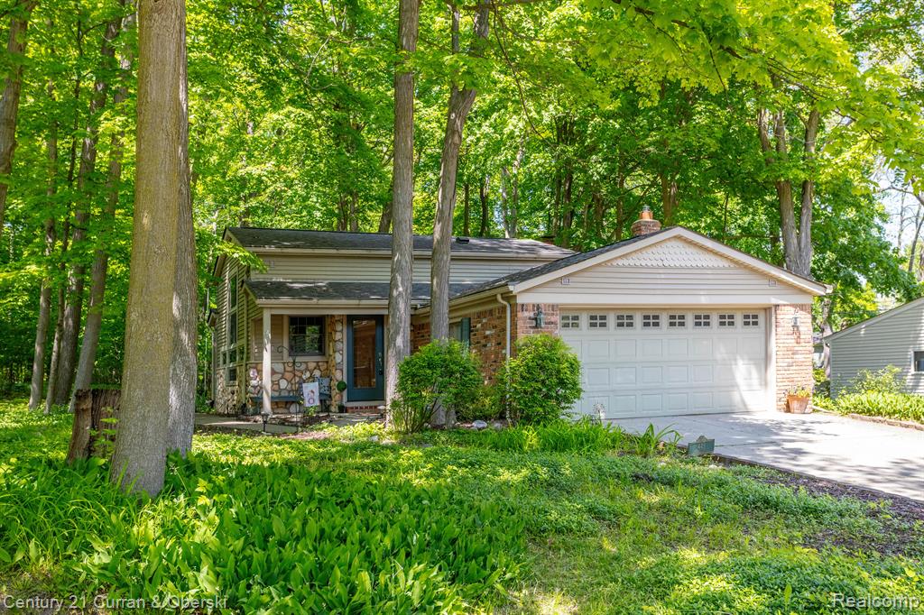449 Hill Street, Northville, MI 48167 — Photo 2