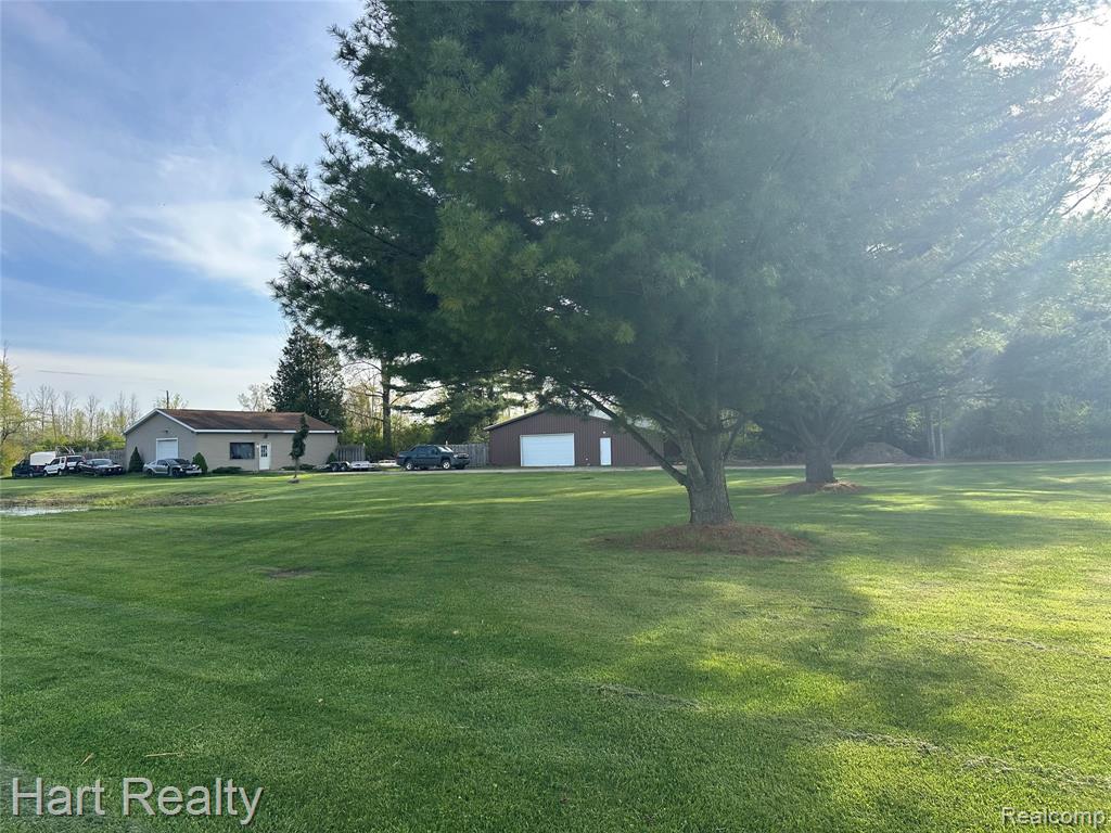 7982 Heinemann Road, MI — Photo 3
