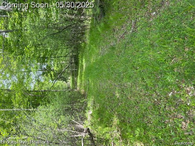 4148 Blue Vista Drive, Evart, MI 49631 — Photo 41