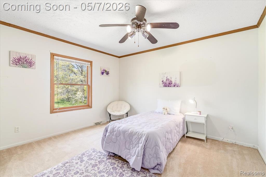20650 Sherwood Road, Belleville, MI 48111 — Photo 46