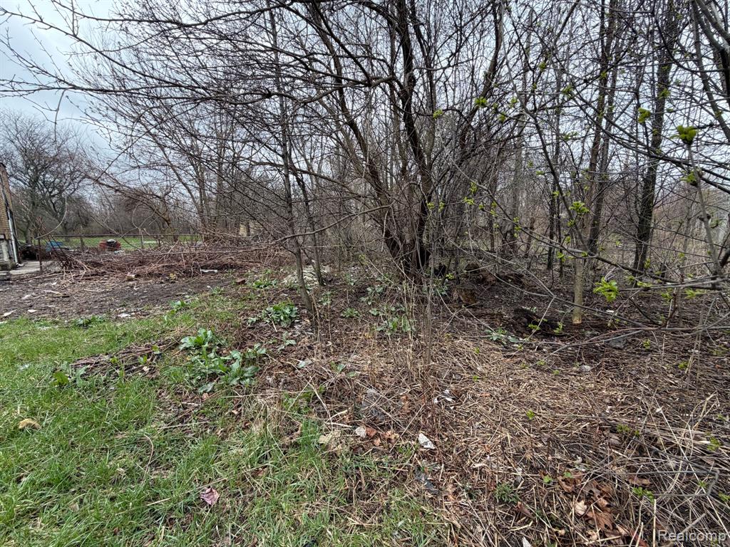 2540 W Forest Avenue - Photo 4