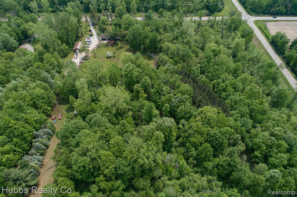 3960 Hanes Road, Vassar, MI 48768 — Photo 67