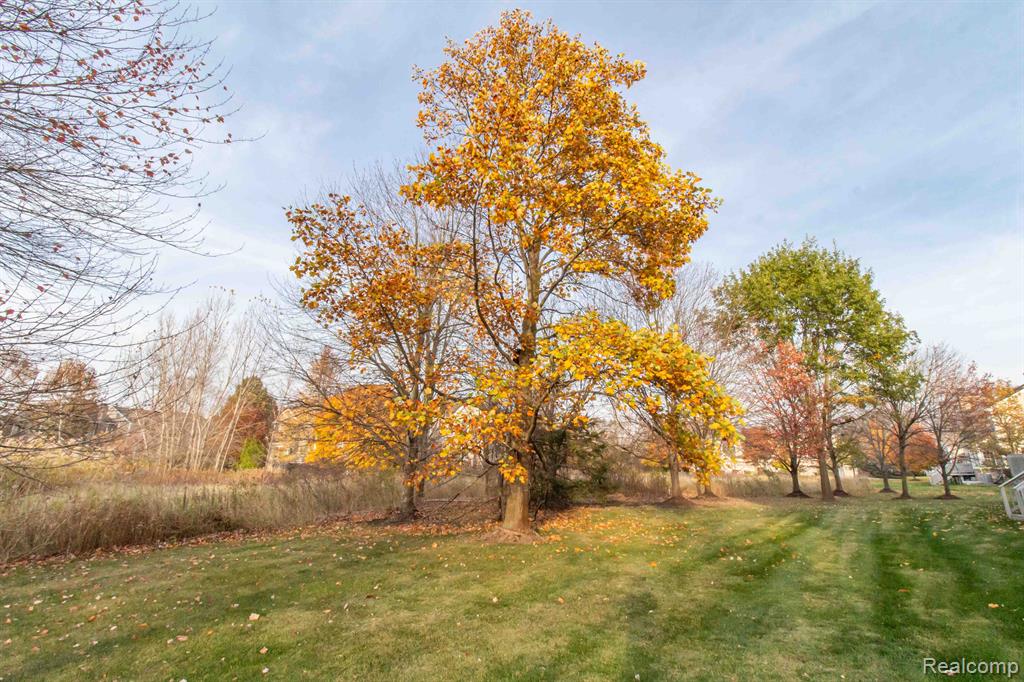 49970 BLACKBERRY Trail, Novi, MI — Photo 50