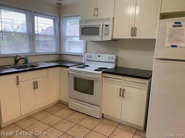 1726 Moran Avenue, Lincoln Park, MI 48146 — Photo 7