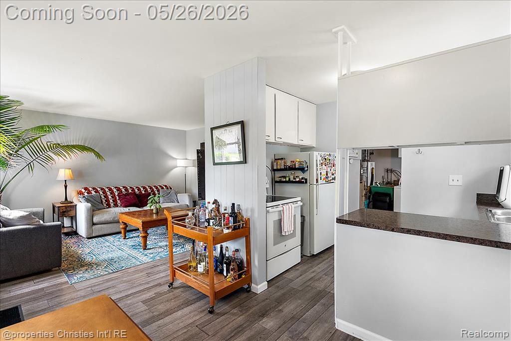 507 Vester Street, Ferndale, MI 48220 — Photo 19