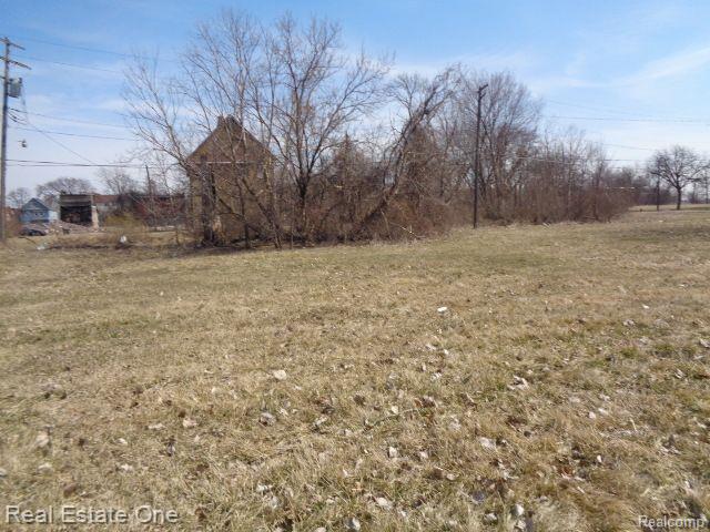 570 CONCORD Street, Detroit, MI 48207 — Photo 3