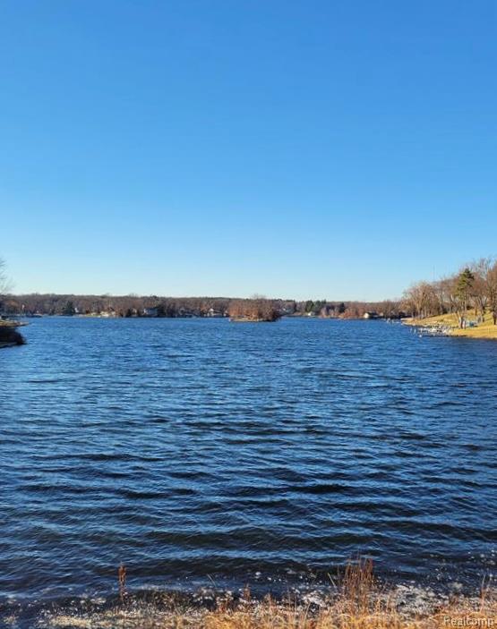 10418 KING Road, Davisburg, MI 48350 — Photo 28