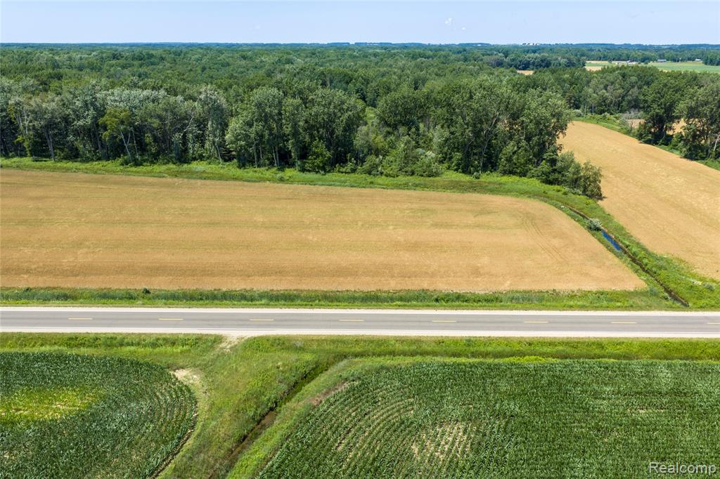 Parcel A Dodge Rd, Cass City, MI 48726 — Photo 4