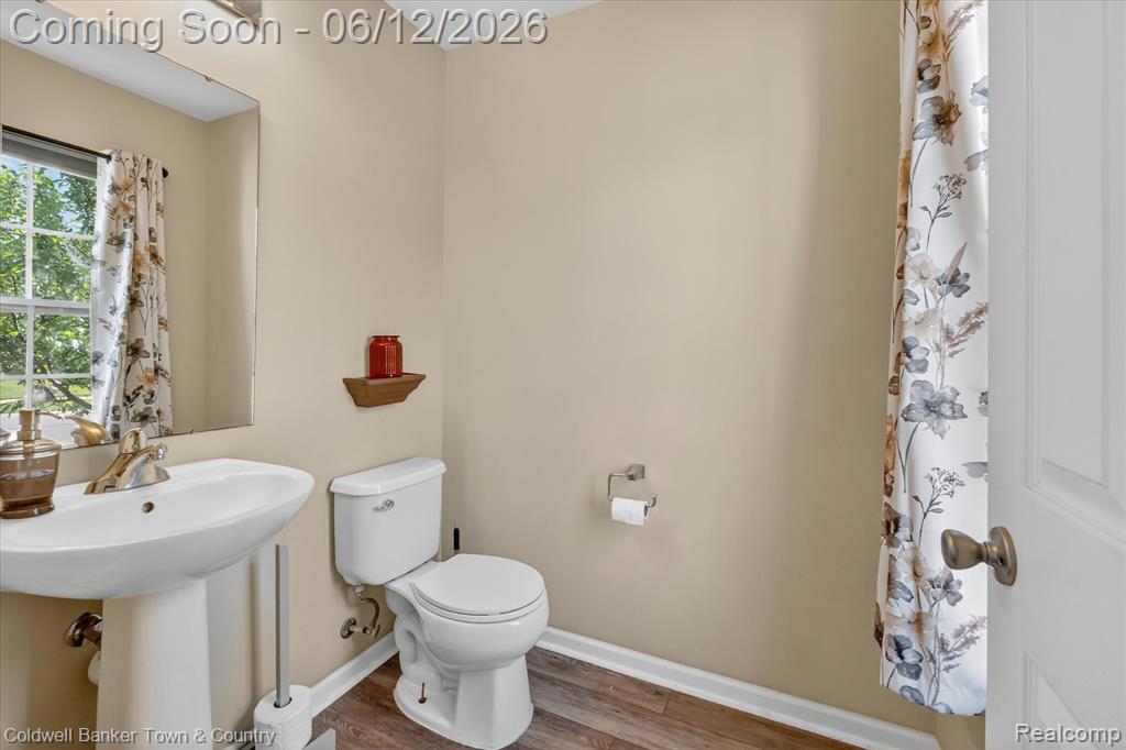 8604 Swartz River Drive, Fowlerville, MI 48836 — Photo 17