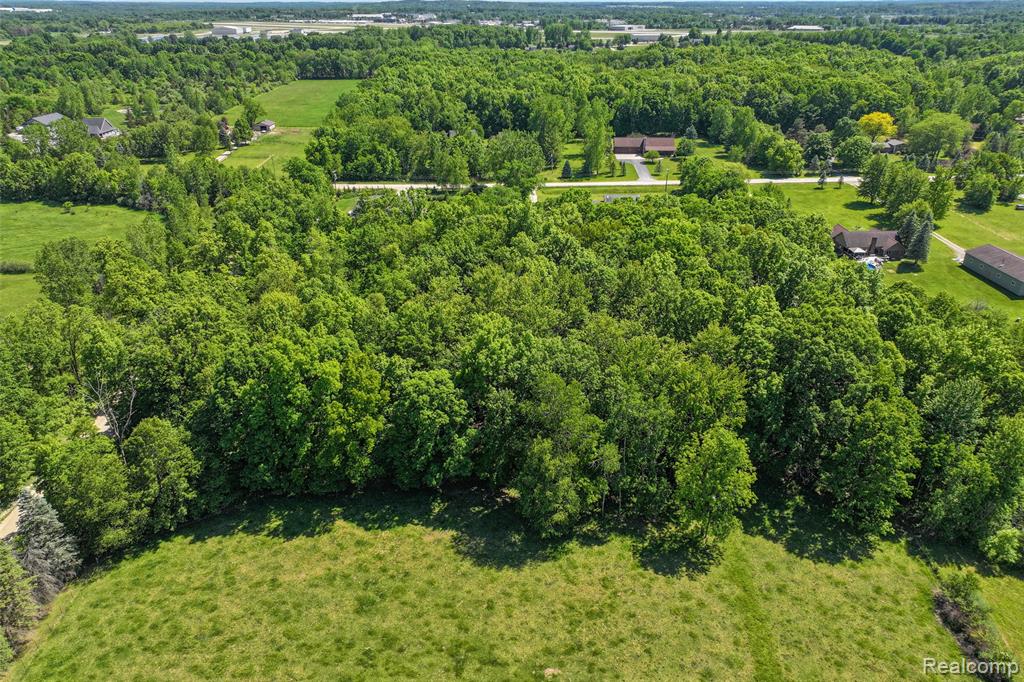 3075 Crandall Road, Howell, MI 48855 — Photo 8