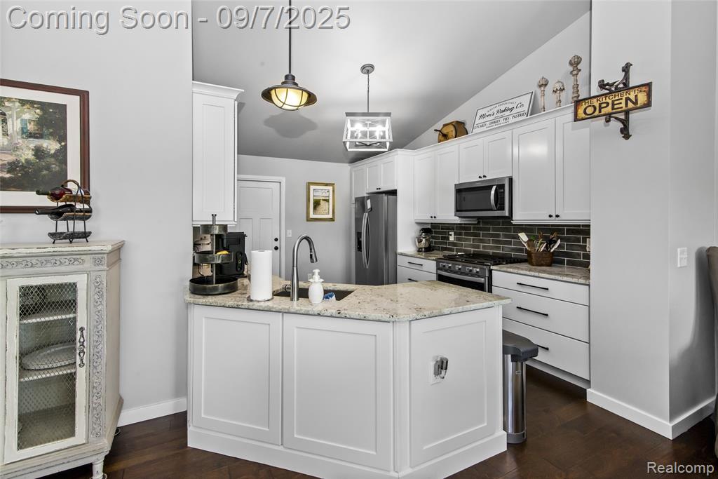 47240 Bayview Court, Canton, MI 48188 — Photo 13