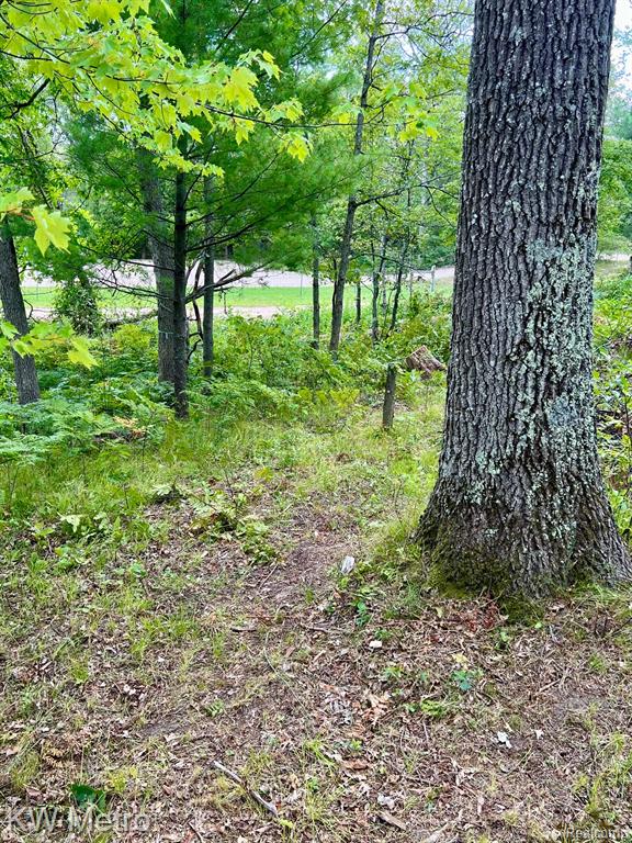 6629 S Tampa, Idlewild, MI 49642 — Photo 16