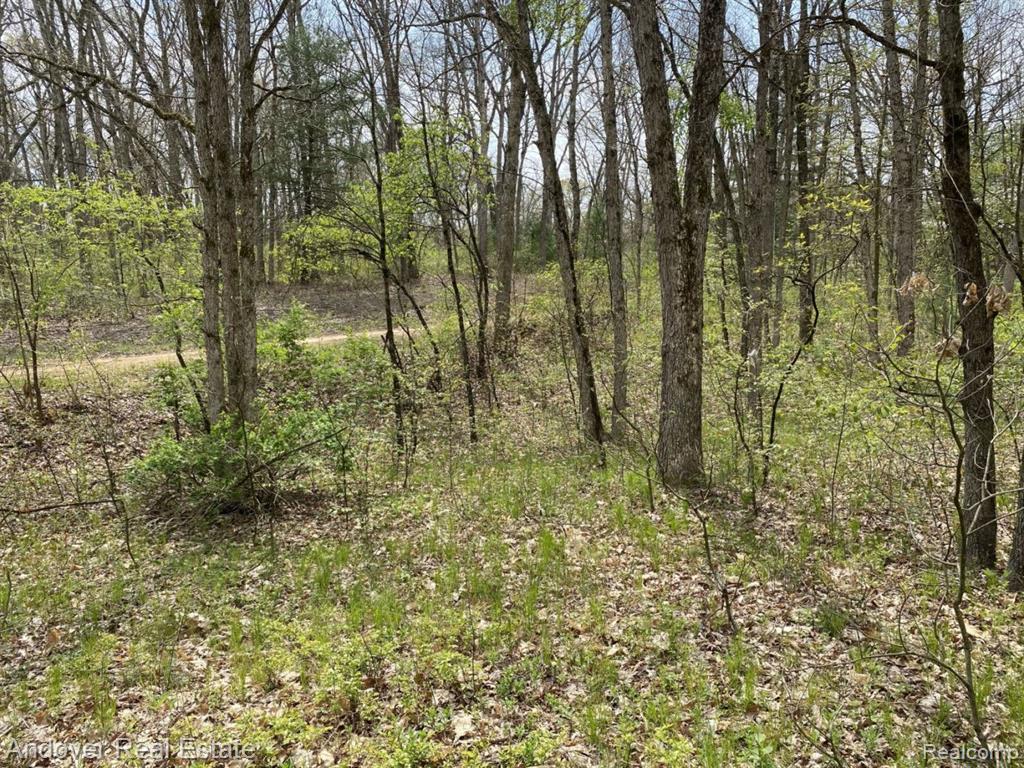Swan Creek Court, MI 49010 — Photo 2