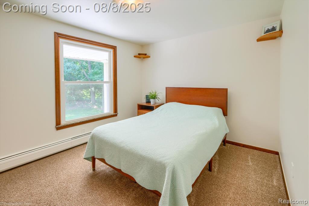 2784 S Blacks Corners Road, Imlay City, MI 48444 — Photo 43