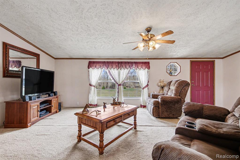 7689 Sidney Road, Greenville, MI 48838 — Photo 6