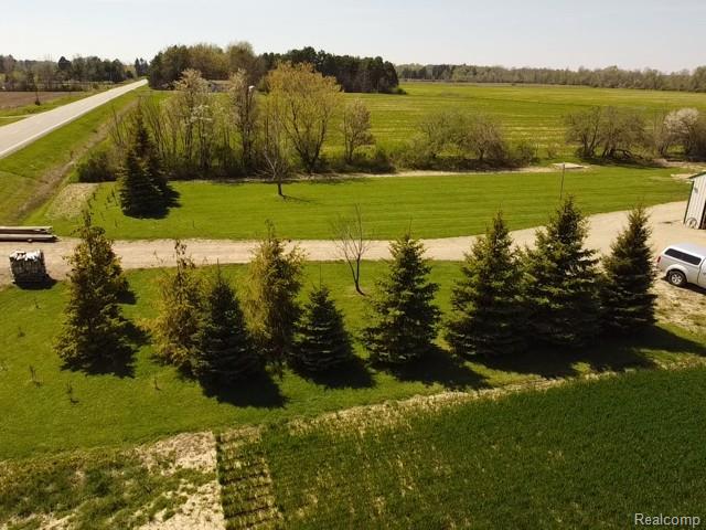 8763 Section Line Road Section Line, Harbor Beach, MI 48441 — Photo 4