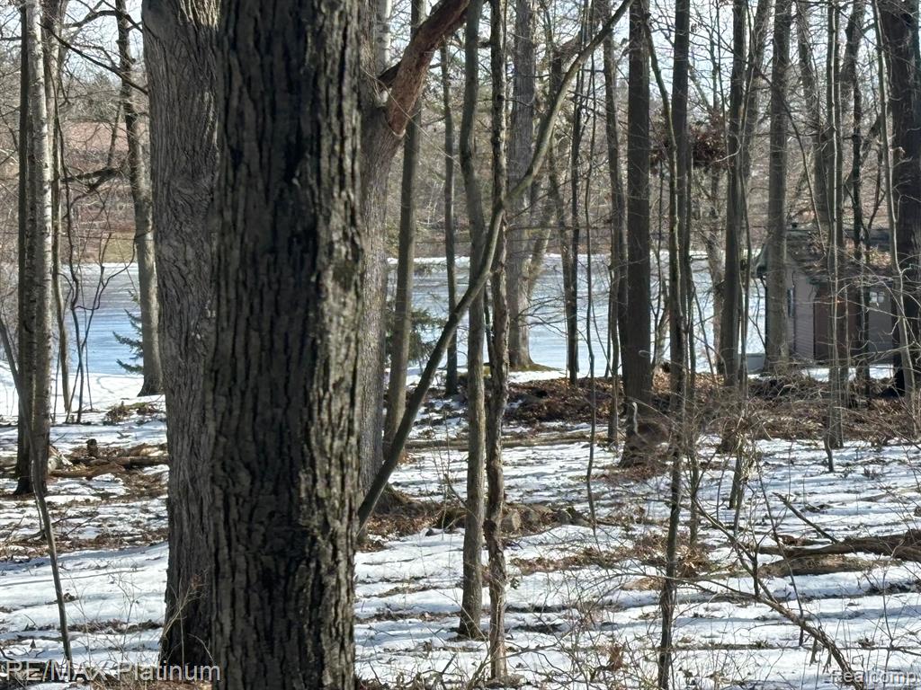 V/L TIPSICO LAKE ROAD, Holly, MI 48442 — Photo 13