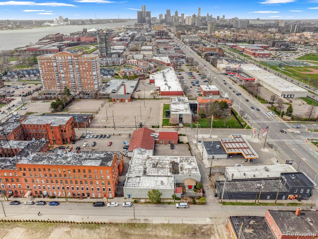 260 Mount Elliott Street, Detroit, MI 48207 — Photo 93