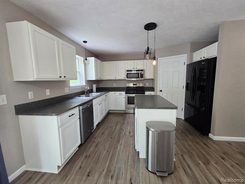 684 Glenlivet Street, Howell, MI 48843 — Photo 9